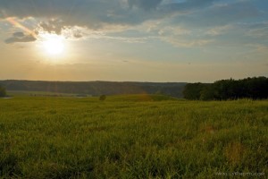 CounterPoint grounds